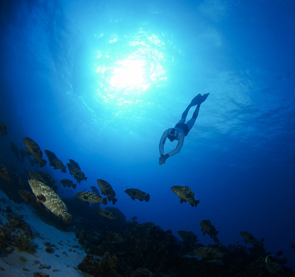 Reasons To Start Freediving Mares Scuba Diving Blog