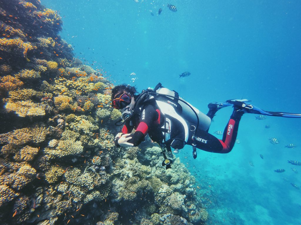 Frequently Asked Questions Mares Scuba Diving Blog