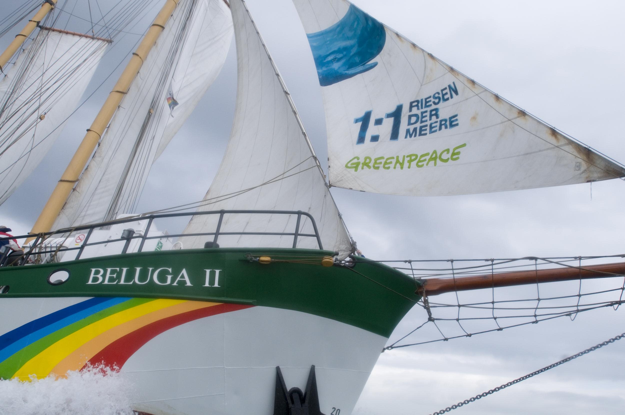 Arctic Day of Action An Exhibition By Greenpeace Mares Scuba