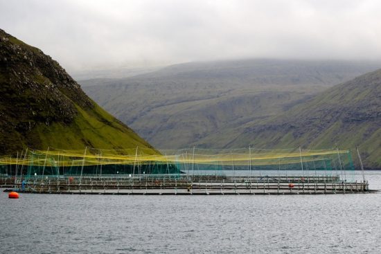 2015_09_14_Ueberfischung_fish_farm_c_Steffen_GEOMAR