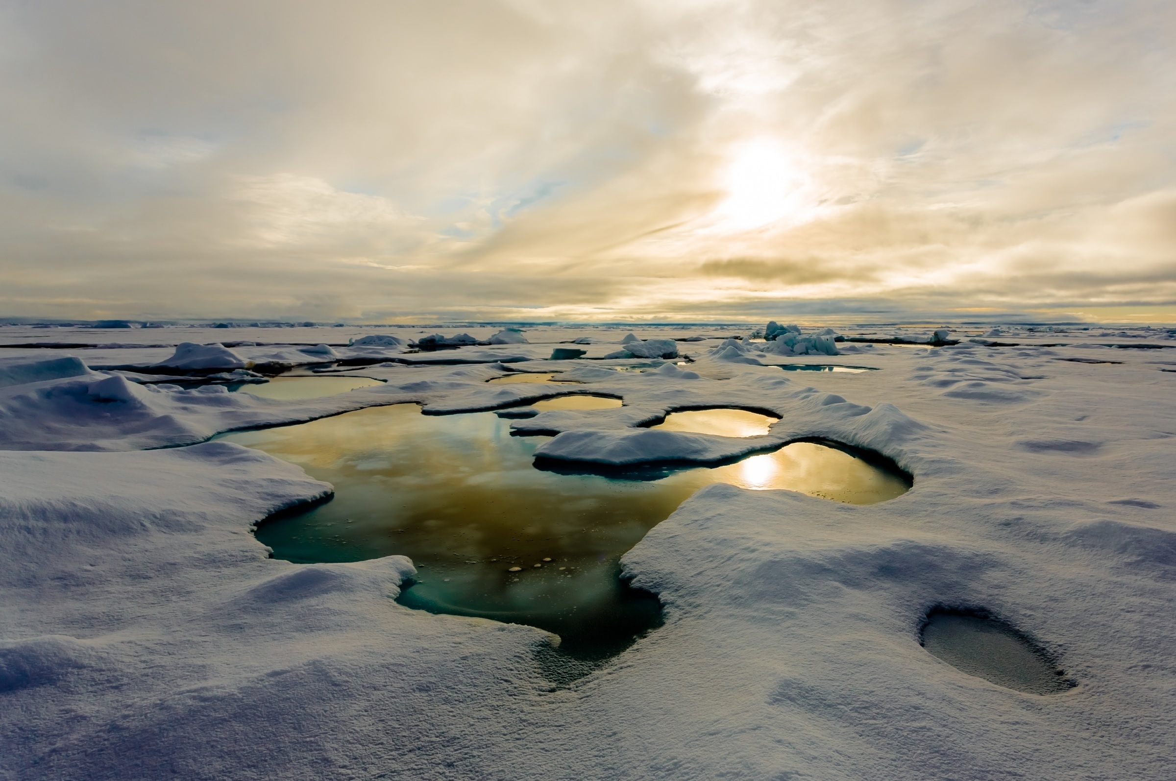 The great warming. Таяние льдов в арктических пустынях. Таяние льдов в Арктике. Глобальное потепление Северного Ледовитого океана. Глобальное потепление в Арктике.