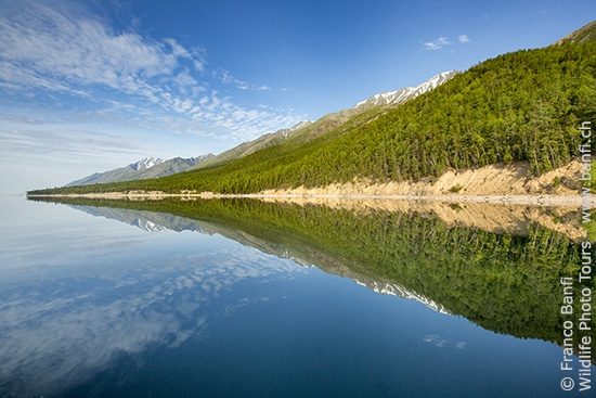 West coast shore with mountain and forest reflecting in the Lake Baikal, Siberia, Russia