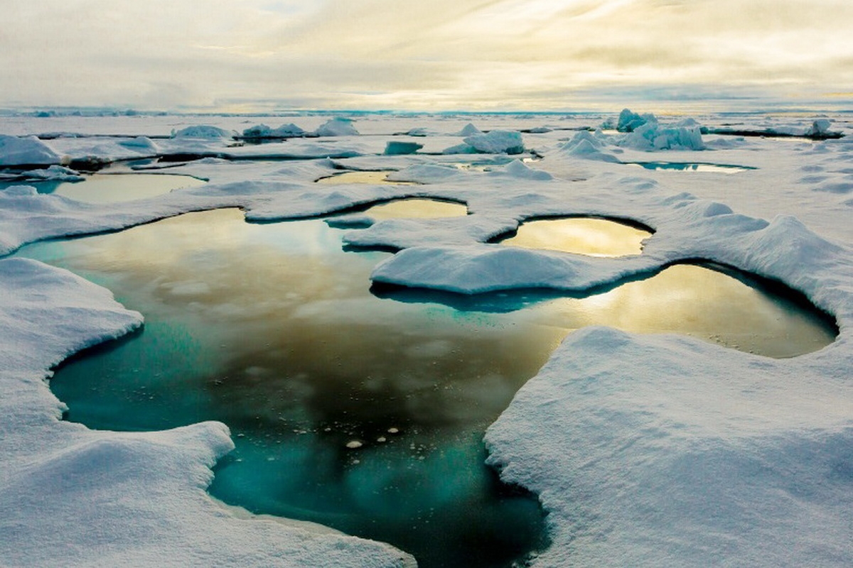 Ice may. Под арктическим льдом. Глобальное потепление сковородка. Melting the Sea Ice. Арктика маска на талой воде.