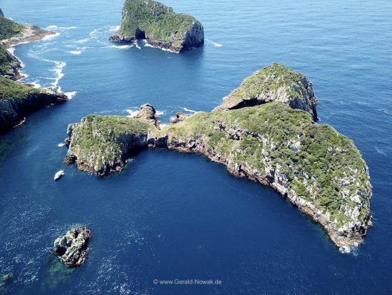 Inseln der Poor Knights Islands, New Zealand - Neuseeland