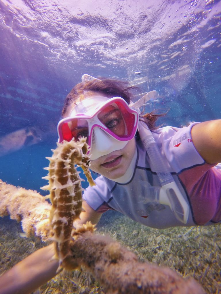 Diving with seahorses • Mares Scuba Diving Blog