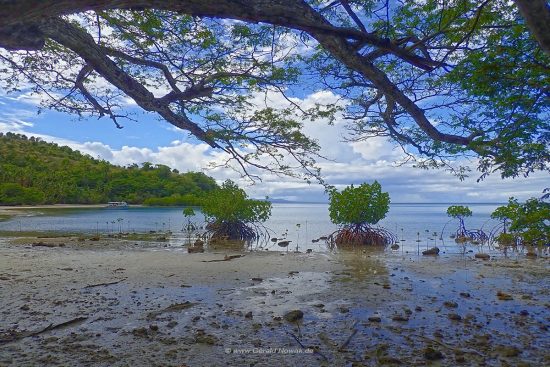 Rainbow Reef - Taveuni - Fiji