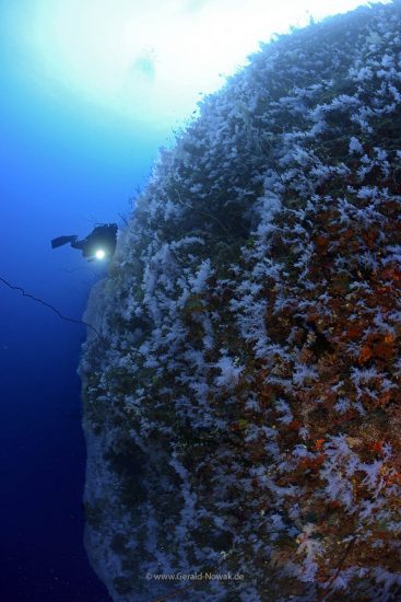 White Wall, Rainbow Reef, Taveuni, Fiji