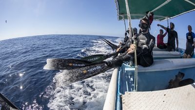 Free divers getting ready to jump into the water to photograph Striped marlin (Tetrapturus audax) feeding on sardine's bait ball (Sardinops sagax), Magdalena Bay, West Coast of Baja California, Pacific Ocean, Mexico