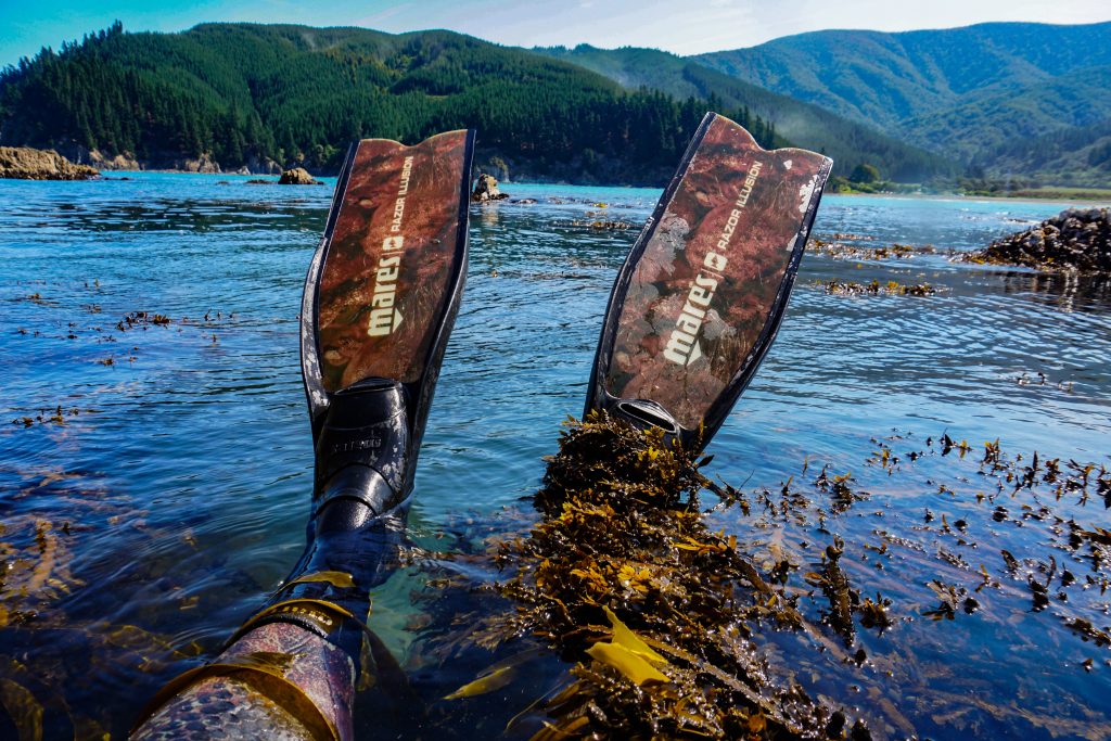 Dan's Dive Destinations Marlborough Sounds (NZ) • Mares Scuba Diving
