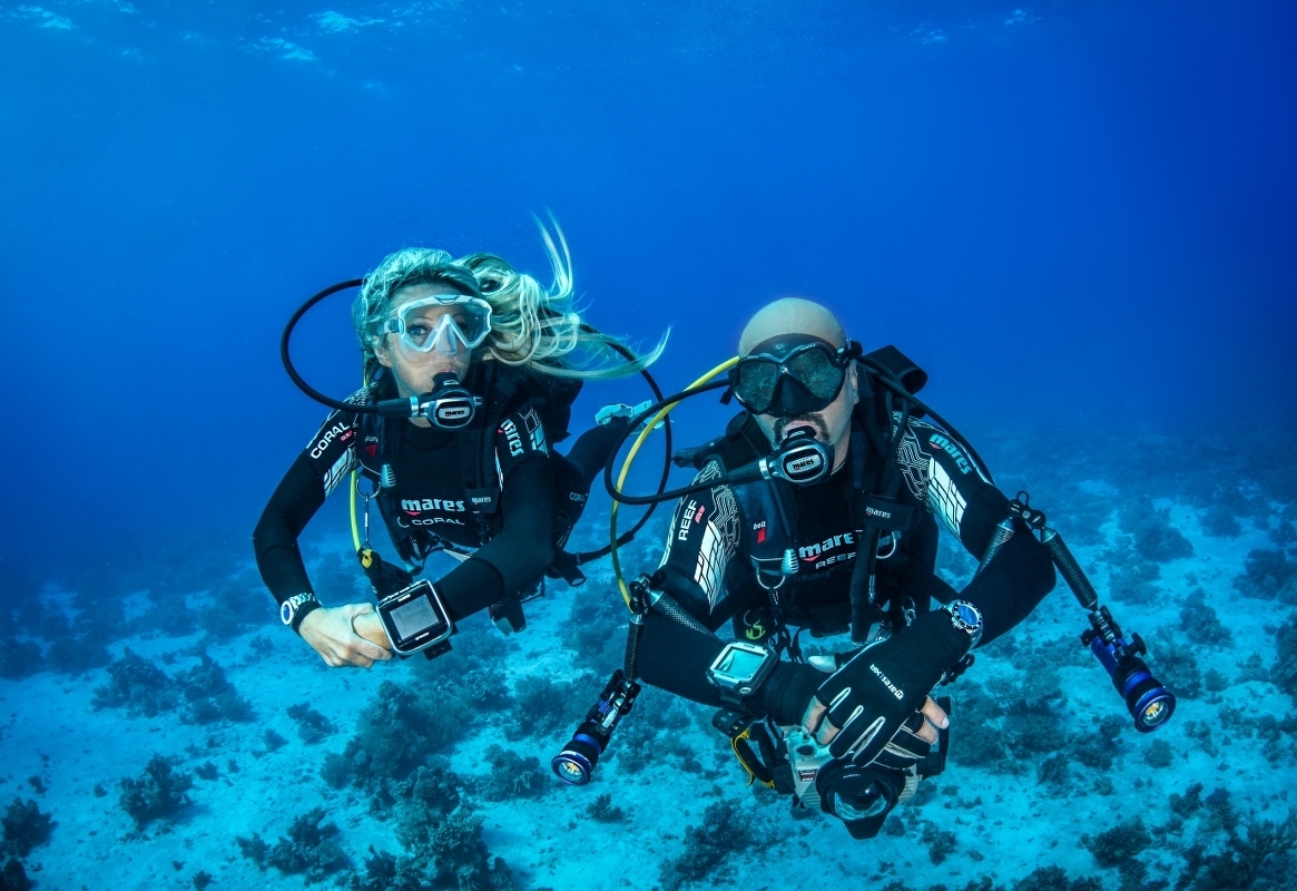 Corals create structures to promote reef recovery • Mares - Scuba Diving  Blog