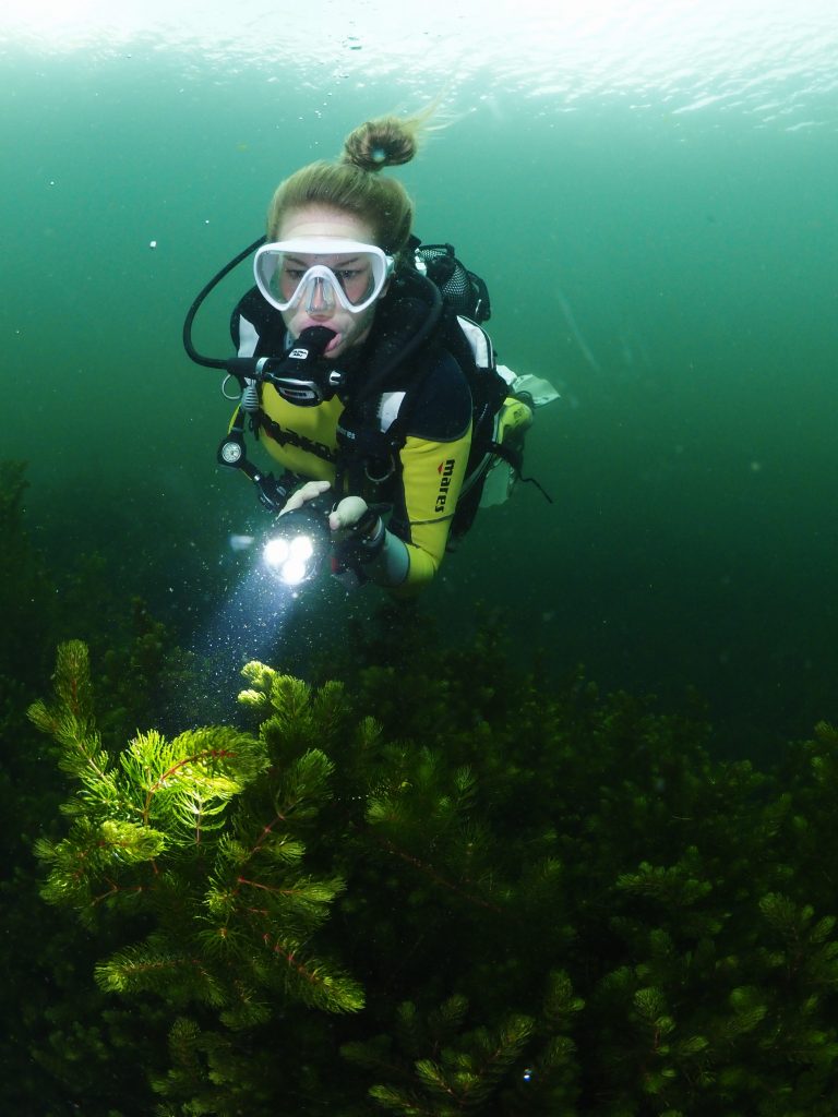 Diving in Belgium • Mares Scuba Diving Blog