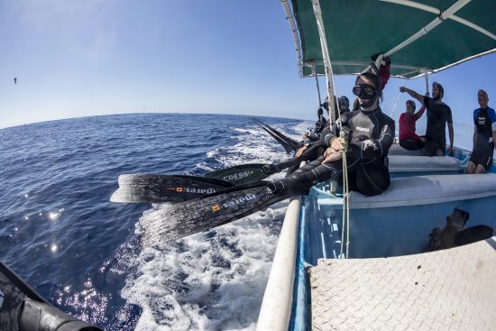 Free divers getting ready to jump into the water to photograph Striped marlin (Tetrapturus audax) feeding on sardine's bait ball (Sardinops sagax), Magdalena Bay, West Coast of Baja California, Pacific Ocean, Mexico