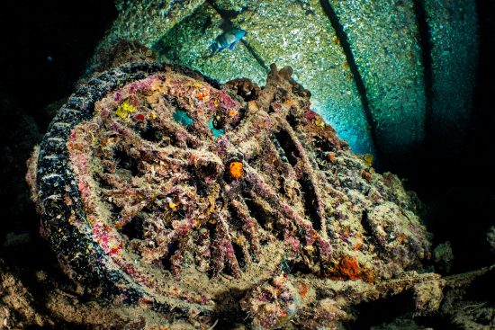 A World War II BSA M20 mtorbike on the SS Thistlegorm Wreck. Sha'ab Ali, Sinai, Egypt. Gulf of Suez, Red Sea.