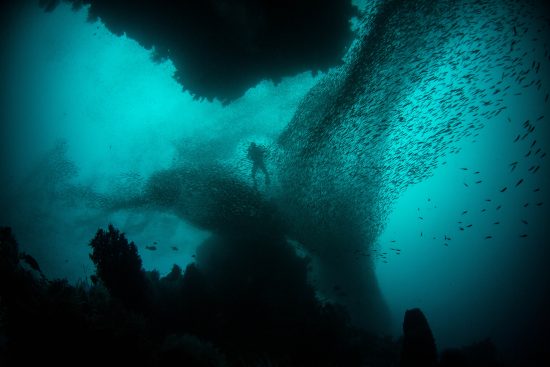 Raja Ampat underwater